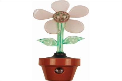 شب خواب گل سنسوردار