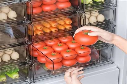 باکس نظم دهنده یخچال ترنج کوچک